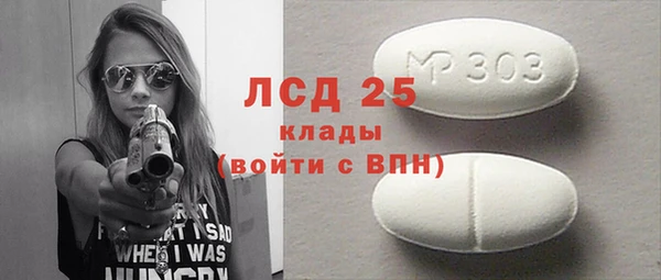 прущие грибы Балахна