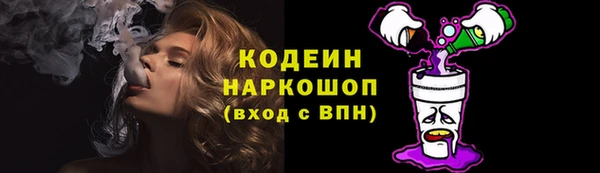 прущие грибы Балахна