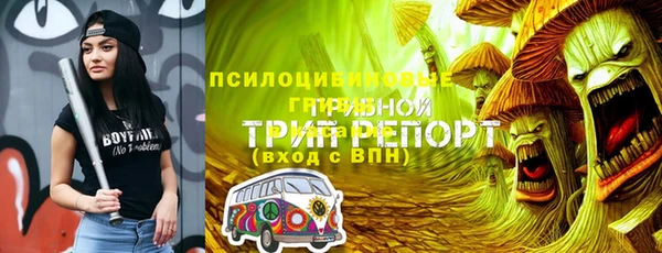 прущие грибы Балахна