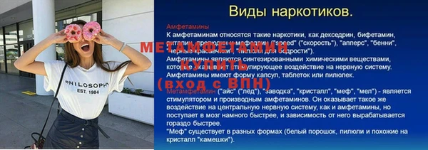 прущие грибы Балахна